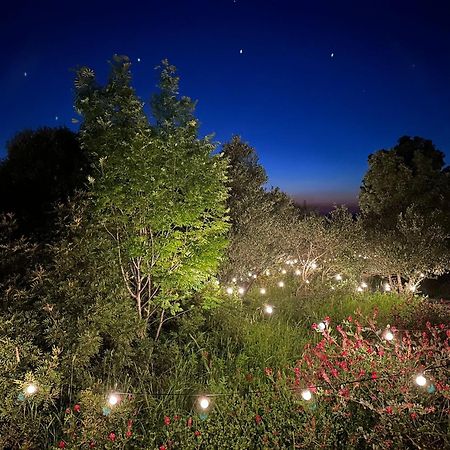 Glamping San Bart San Vincenzo Exterior foto