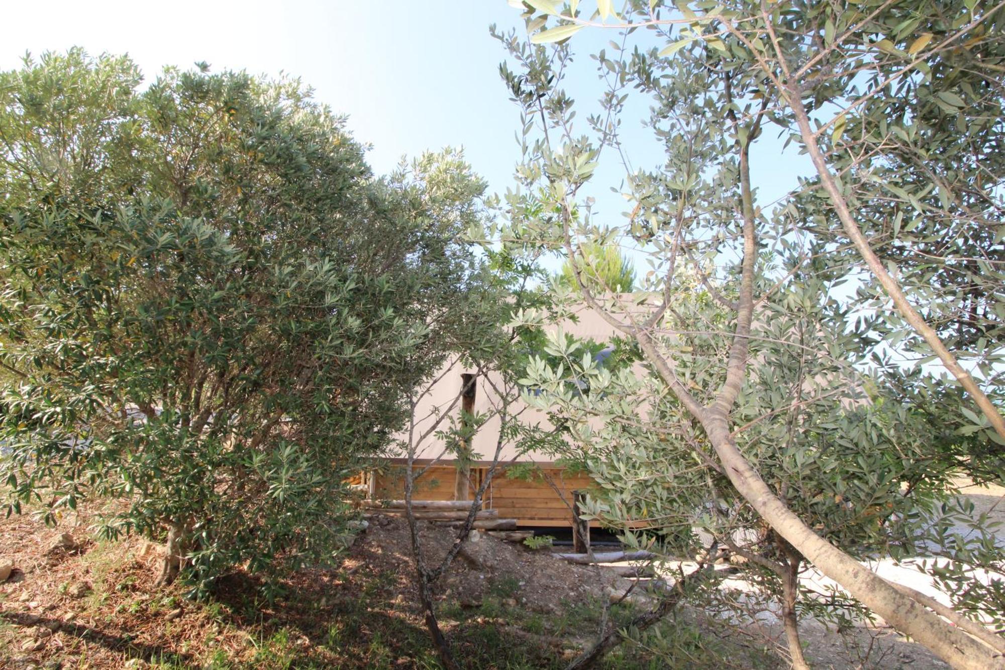Glamping San Bart San Vincenzo Exterior foto