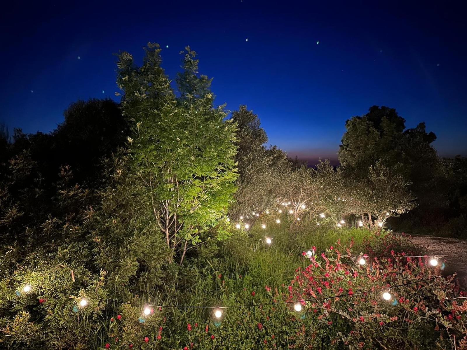 Glamping San Bart San Vincenzo Exterior foto